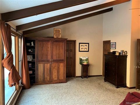 74 Holdup St, Bailey, CO 80421 photo 25