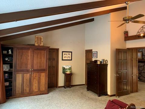 74 Holdup St, Bailey, CO 80421 photo 26