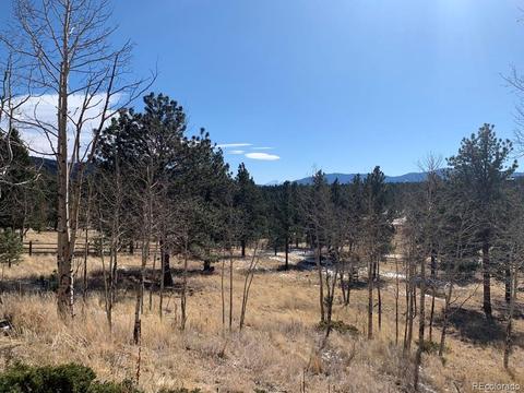 74 Holdup St, Bailey, CO 80421 photo 8