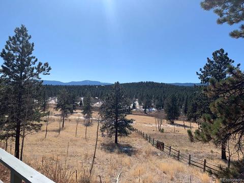 74 Holdup St, Bailey, CO 80421 photo 10
