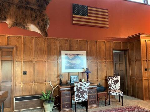 74 Holdup St, Bailey, CO 80421 photo 28