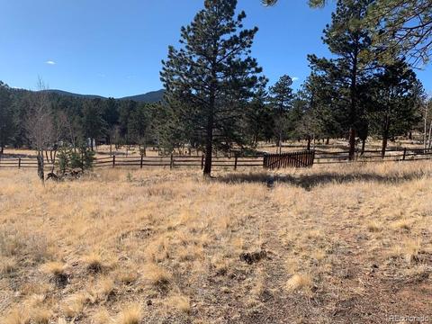 74 Holdup St, Bailey, CO 80421 photo 11
