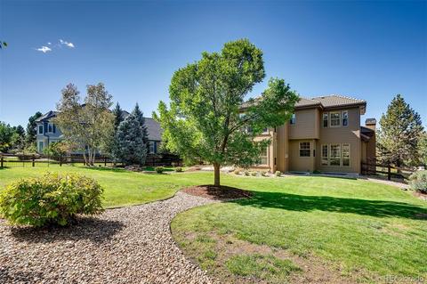 9159 E Lost Hill Dr, Lone Tree, CO 80124 photo 27