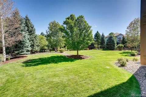 9159 E Lost Hill Dr, Lone Tree, CO 80124 photo 28