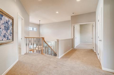 9159 E Lost Hill Dr, Lone Tree, CO 80124 photo 19