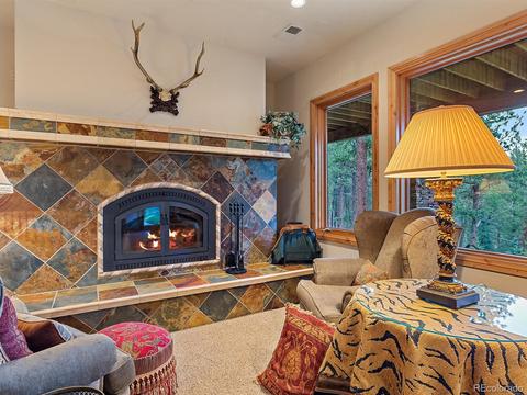 13744 Drake Ct, Pine, CO 80470 photo 29