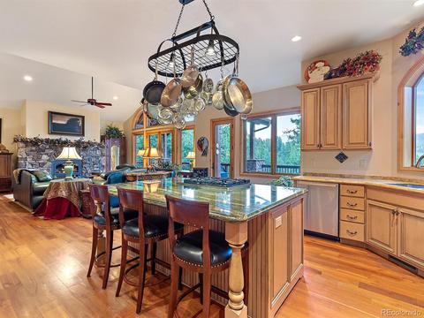 13744 Drake Ct, Pine, CO 80470 photo 15