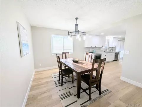 13617 Leo Ct, Littleton, CO 80124 photo 8