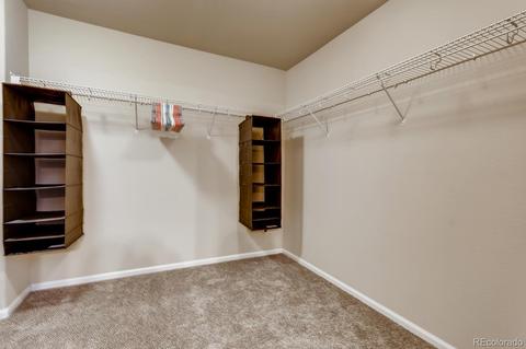 7352 E 129th Pl, Thornton, CO 80602 photo 21