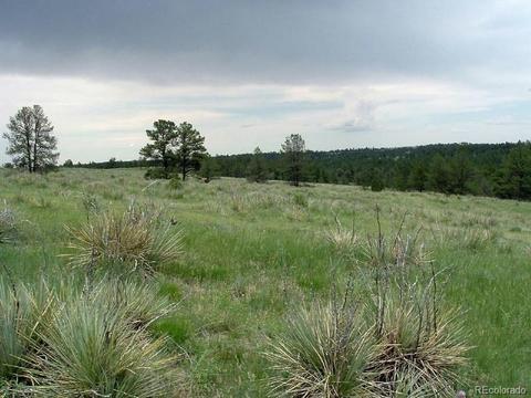 23578 E Lost Creek Trl, Agate, CO 80101 photo 1
