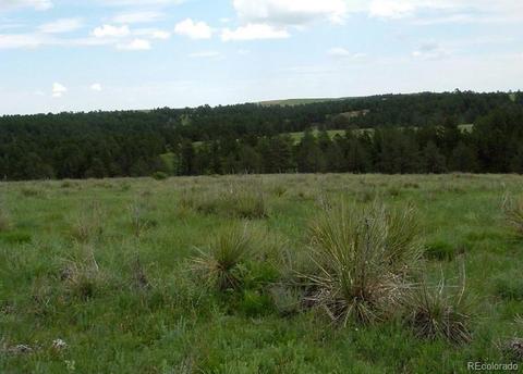 23578 E Lost Creek Trl, Agate, CO 80101 photo 2