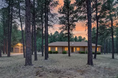 155 Pontiac Loop, Monument, CO 80132