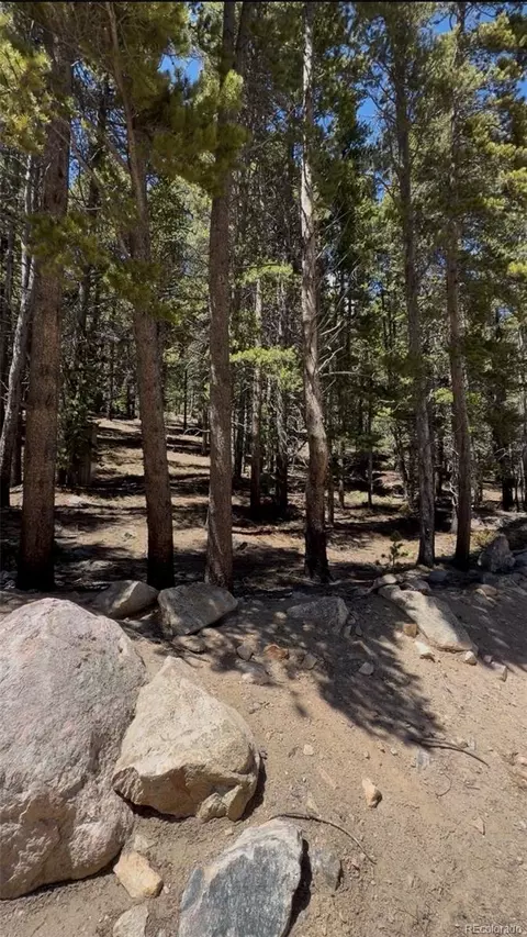 lot378 Alice Rd, Idaho Springs, CO 80452