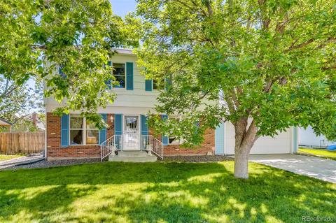 4678 S Ward Way, Morrison, CO 80465 photo 3