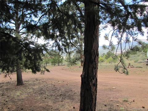 27 Lantern Loop, Hartsel, CO 80449 photo 3