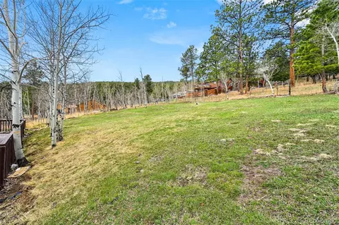 Exterior - 312 S Pine Dr, Bailey, CO 80421 photo 6 of 6