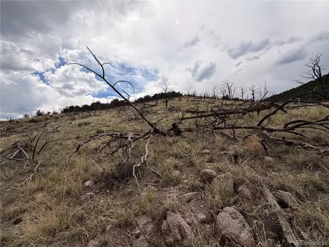 000 J Path, Cotopaxi, CO 81223 photo 2