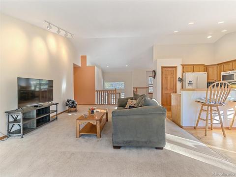 508 Gunsmoke Dr, Bailey, CO 80421 photo 6