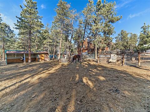 508 Gunsmoke Dr, Bailey, CO 80421 photo 28