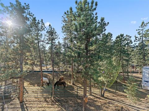 508 Gunsmoke Dr, Bailey, CO 80421 photo 19