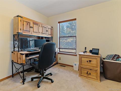 508 Gunsmoke Dr, Bailey, CO 80421 photo 16