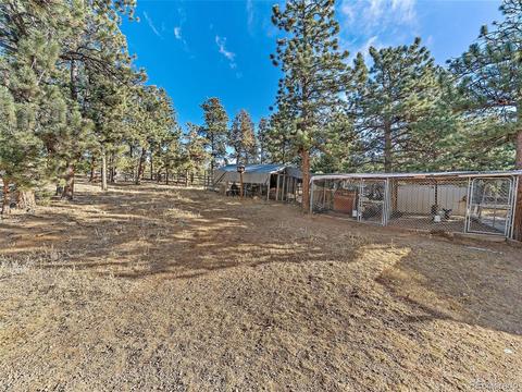 508 Gunsmoke Dr, Bailey, CO 80421 photo 29