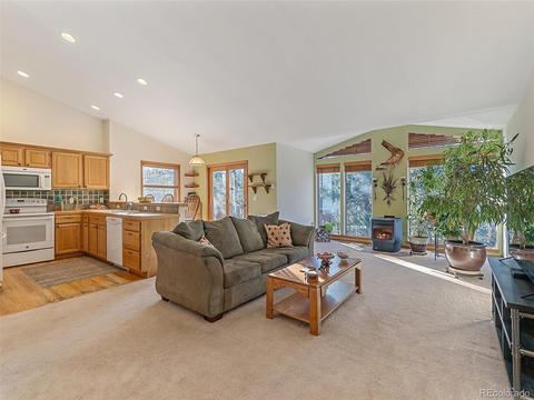 508 Gunsmoke Dr, Bailey, CO 80421 photo 5
