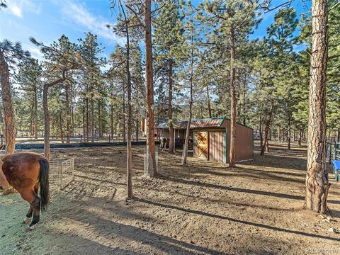 508 Gunsmoke Dr, Bailey, CO 80421 photo 26