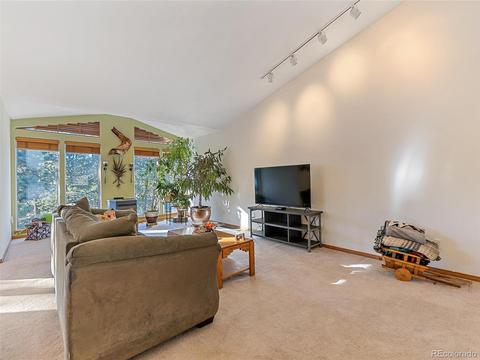508 Gunsmoke Dr, Bailey, CO 80421 photo 4