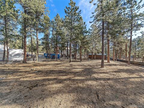 508 Gunsmoke Dr, Bailey, CO 80421 photo 27