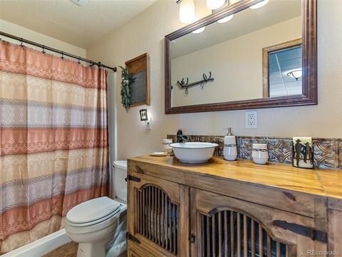 508 Gunsmoke Dr, Bailey, CO 80421 photo 24