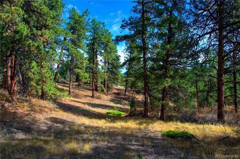 32026 Half Peak Trl, Pine, CO 80470 photo 5
