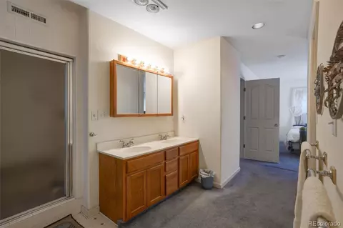 Bath - 1206 Biddle St, Georgetown, CO 80444 photo 5 of 5