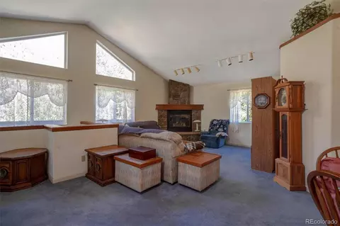 Living - 1206 Biddle St, Georgetown, CO 80444 photo 1 of 1