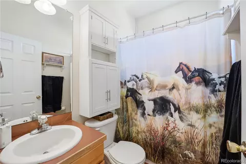 Bath - 35880 E 149th Ct, Hudson, CO 80642 photo 3 of 4