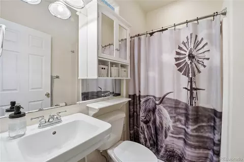 Bath - 35880 E 149th Ct, Hudson, CO 80642 photo 4 of 4