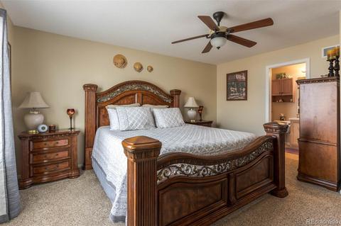 19058 E 58th Ave, Denver, CO 80249 photo 11