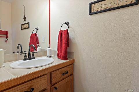 304 E Cline Dr, Shawnee, CO 80475 photo 27