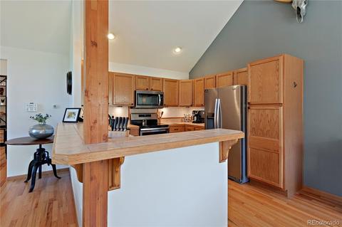 304 E Cline Dr, Shawnee, CO 80475 photo 19