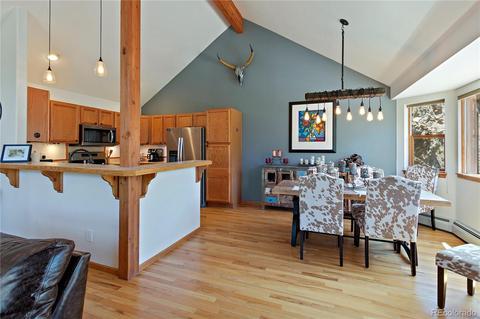 304 E Cline Dr, Shawnee, CO 80475 photo 18