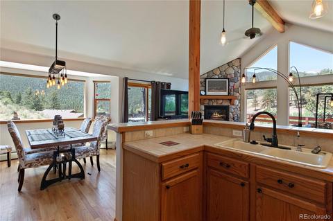 304 E Cline Dr, Shawnee, CO 80475 photo 21