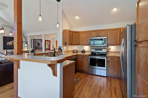 304 E Cline Dr, Shawnee, CO 80475 photo 20