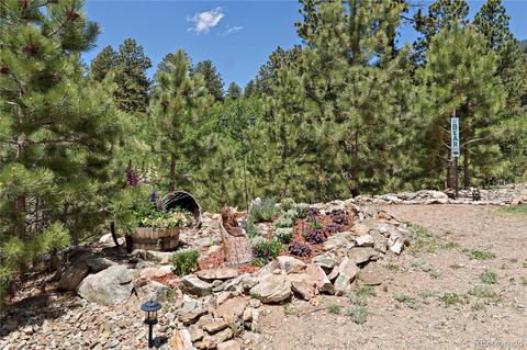 304 E Cline Dr, Shawnee, CO 80475 photo 39