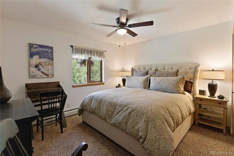 304 E Cline Dr, Shawnee, CO 80475 photo 28
