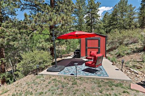 304 E Cline Dr, Shawnee, CO 80475 photo 37