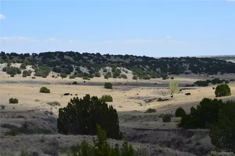 000 Claymine Rd, Rye, CO 81069 photo 17