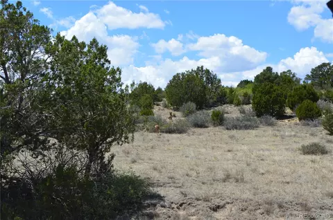 000 Claymine Rd, Rye, CO 81069 photo 41