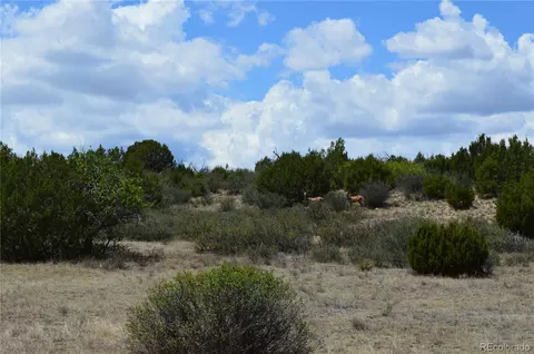 000 Claymine Rd, Rye, CO 81069 photo 42