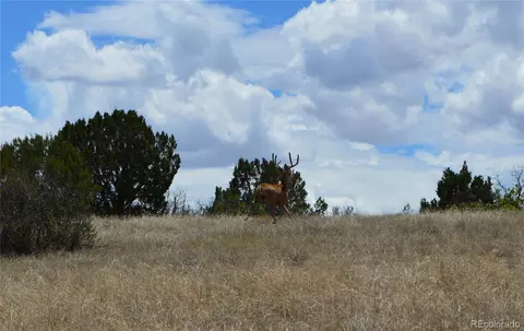 000 Claymine Rd, Rye, CO 81069 photo 22