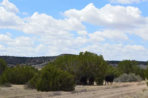 000 Claymine Rd, Rye, CO 81069 photo 12
